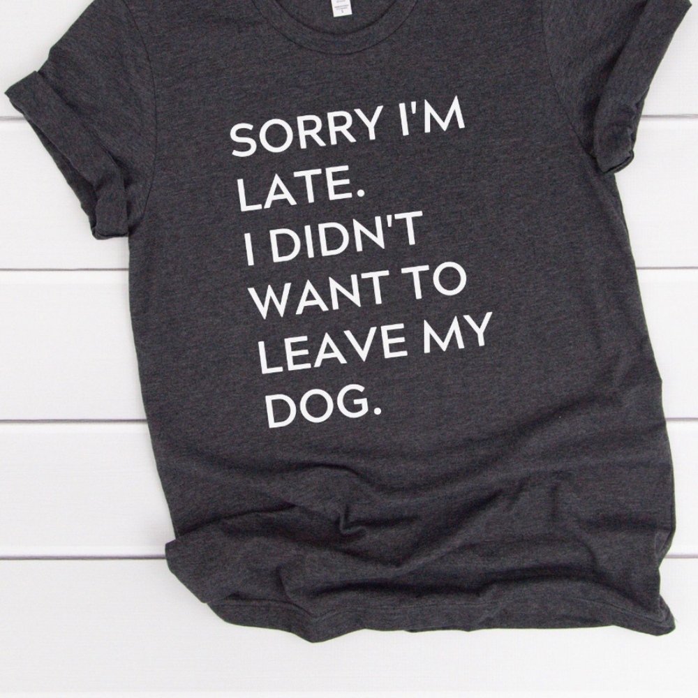 Sorry I'm late I didn't want to leave my dog